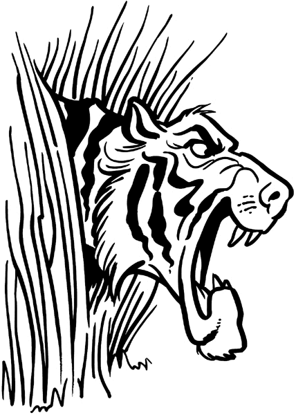Tiger looking thru grass vinyl sticker. Customize on line.      Animals Insects Fish 004-0877  